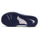 Nike Omni Multi-Court (GS) Nike Omni Multi-Court (GS)